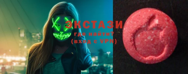 ECSTASY Богородск